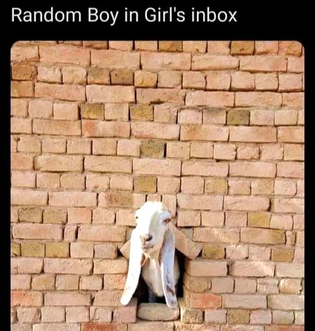 Memes & Satire image