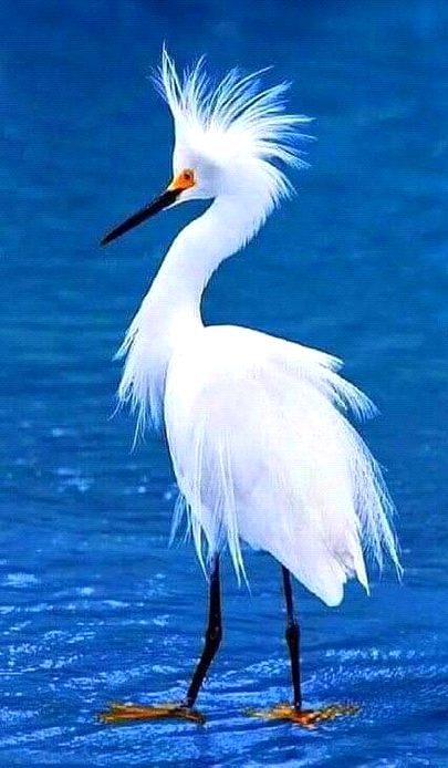 Beautiful Nature image