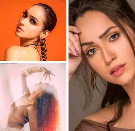 Pakistani Celebs image