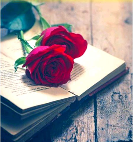 نہ دکھاوے کی دوستی چاہیے نہ دکھاوے کی محبت👏🏻* *کرو تو دل سے کرو ورنہ وقت... 
ضائع مت کرو🔥💯