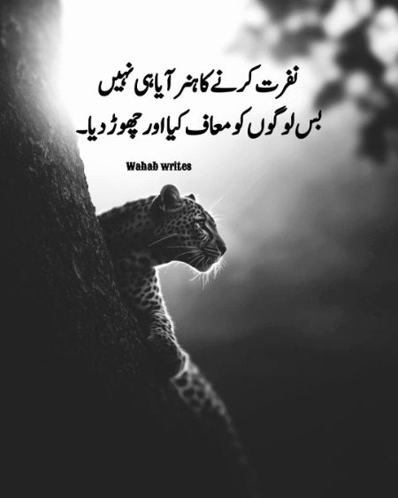 Attitude Poetry image