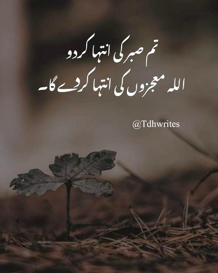 Motivational Quotes image