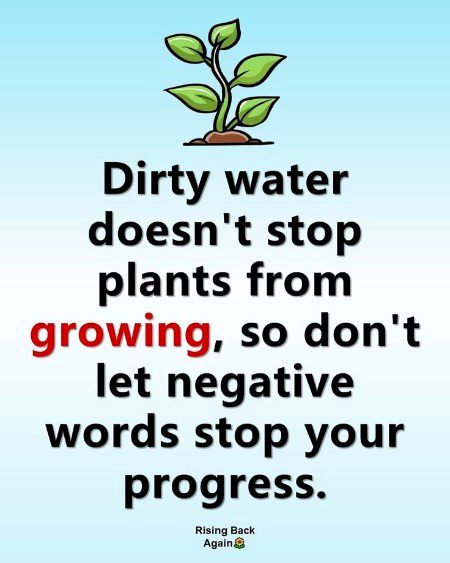 Life Advice image