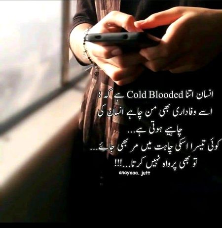 No caption