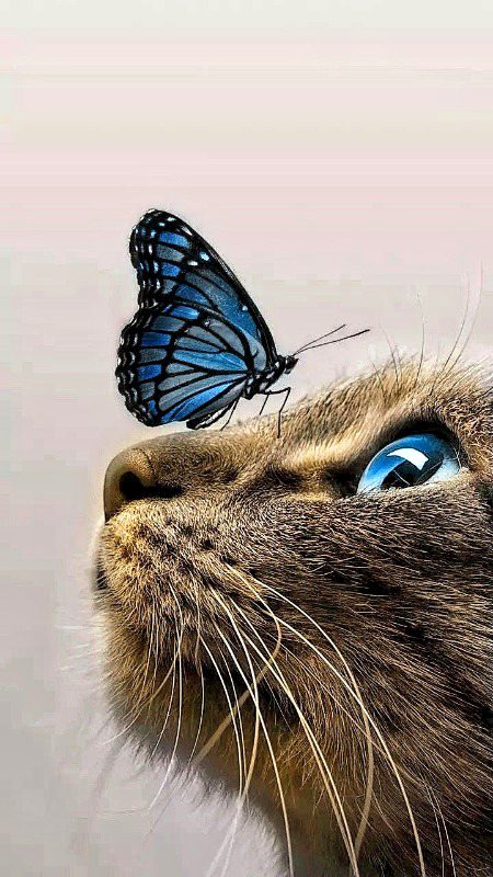 Beautiful Nature image