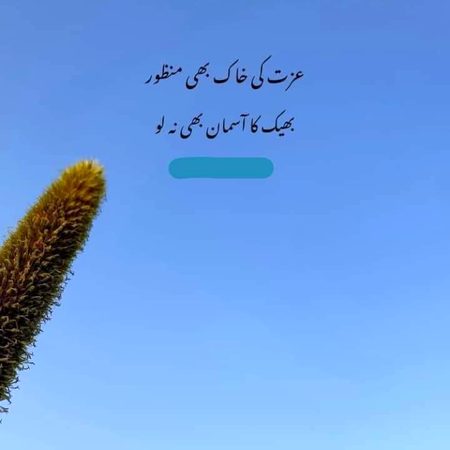 Attitude Poetry image