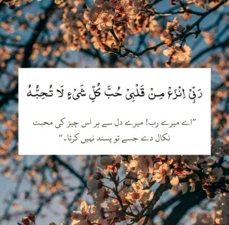 Islamic Quotes image