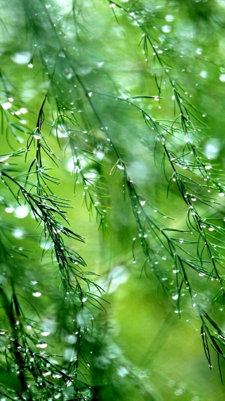 Beautiful Nature image