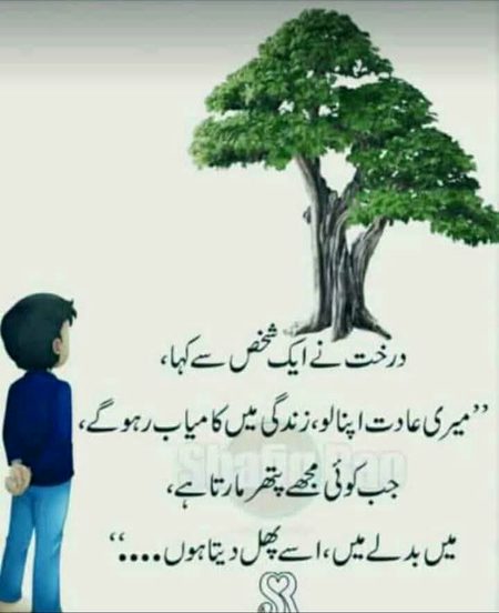 Nice words 💯🌹🌹📖💯