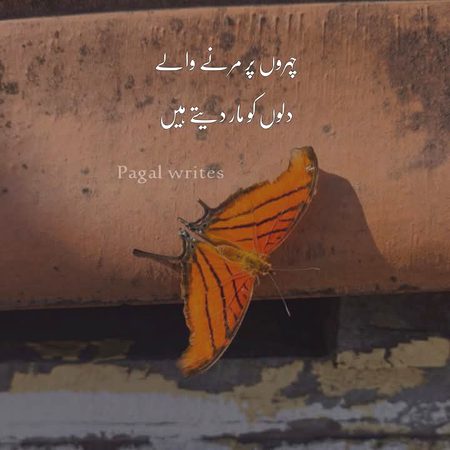 Sad Poetry image