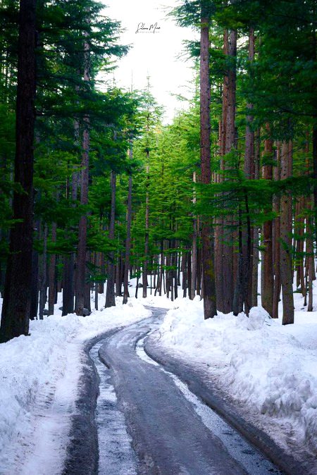 Beautiful Nature image