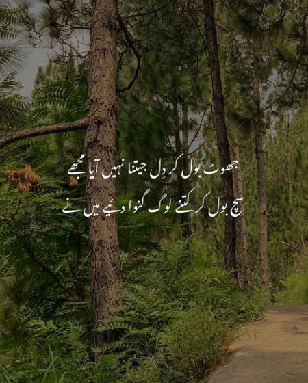 Attitude Quotes image