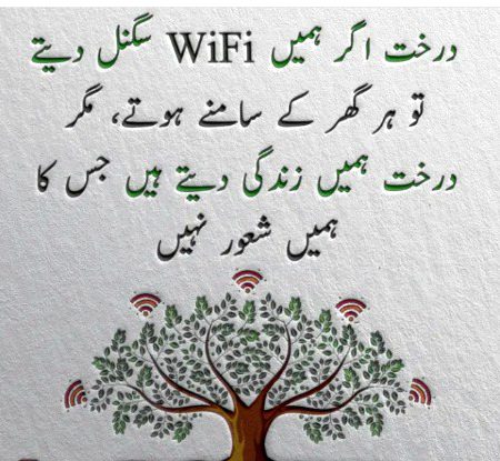 💛💚🖤💛💚🖤💛💚🖤