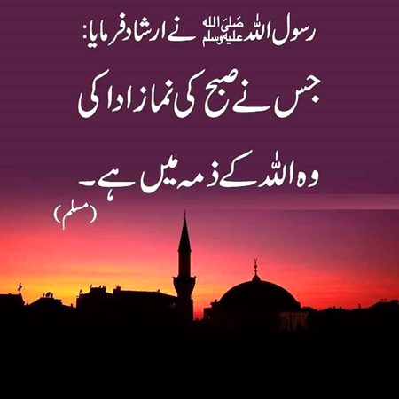 Islamic Quotes image