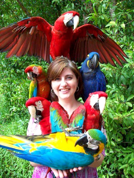 Beautiful Nature image