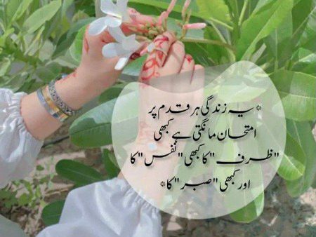 Motivational Quotes image