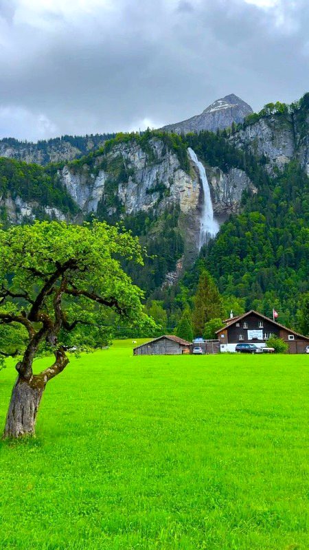 Beautiful Nature image