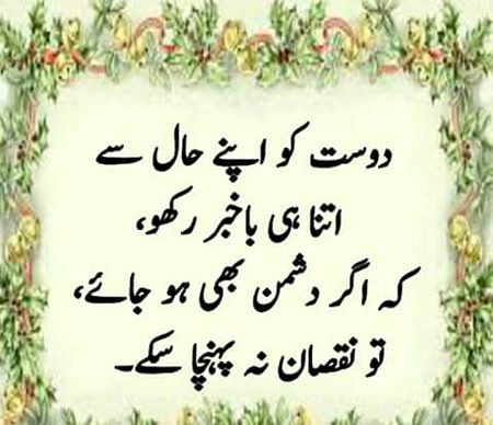 TRUE SAY