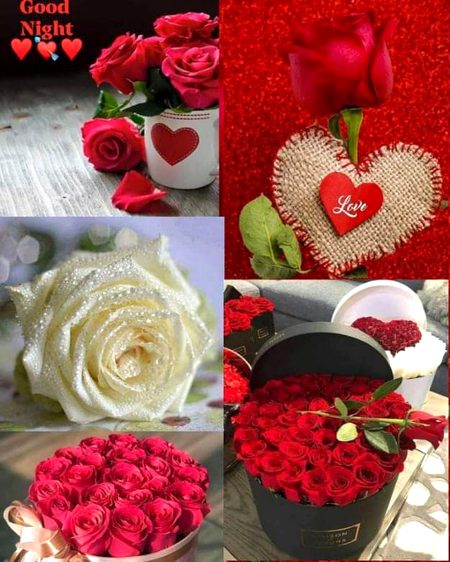 So swweettt rose 😘