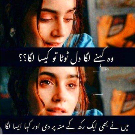 Memes & Satire image