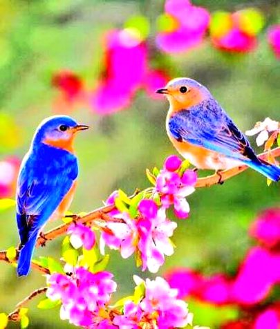 Beautiful Nature image