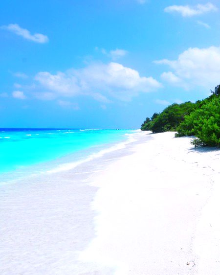 Beautiful Nature image
