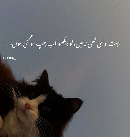 Sad Poetry image