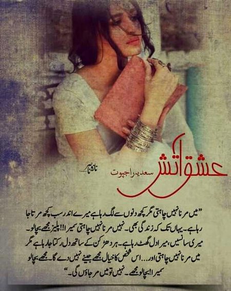 Romantic Novels image