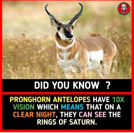 Interesting Posts image