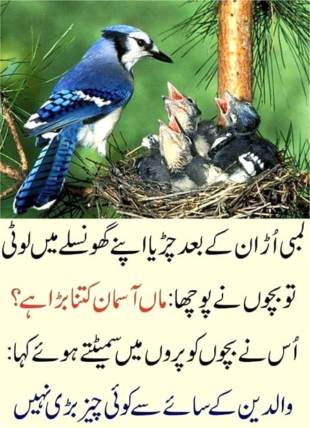 🙏🙏Aliyan 🙏🙏