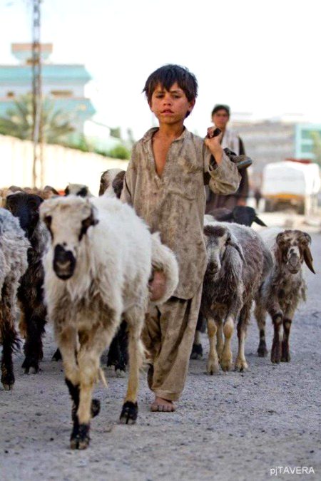 Beautiful People image