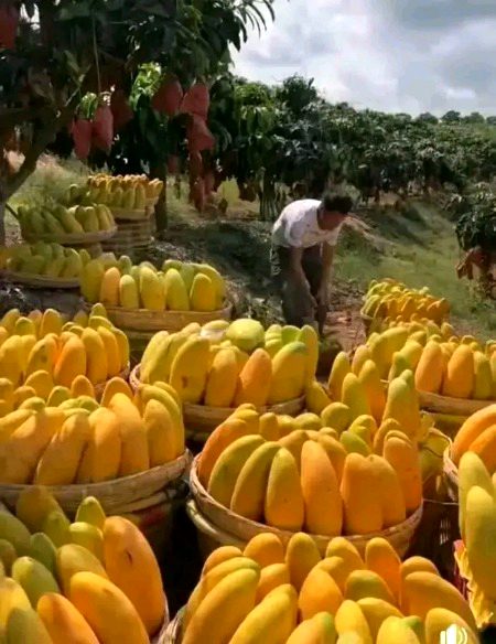 Beautiful Nature image