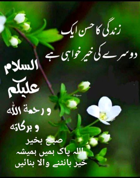 ❤️ Assalam U Alaikum ❤️
   🌹 merijan-16 🌹
