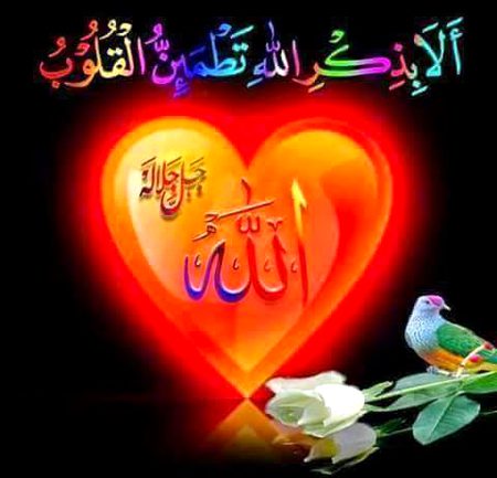 Islamic Quotes image