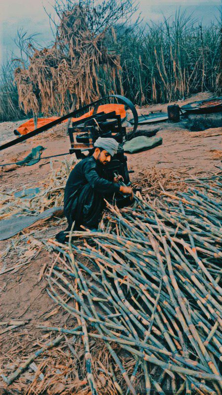 Beautiful People image