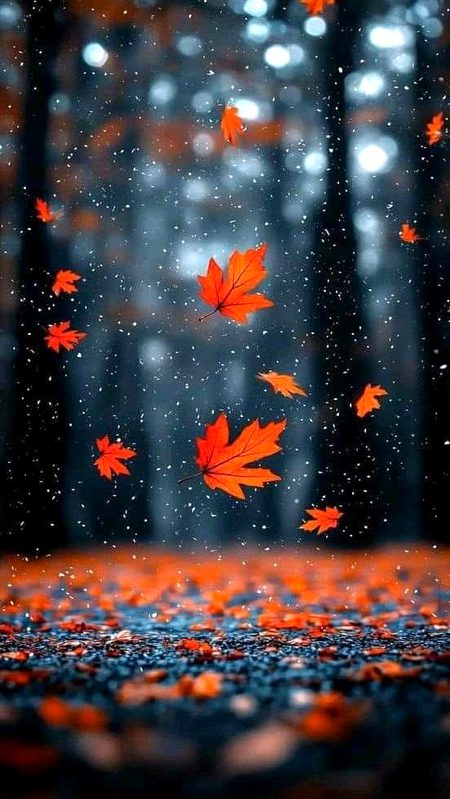 😊جو میرے بنا خوش ہے
🥴اُسے میں کیوں پریشان کروں؟