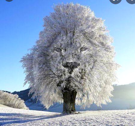 Beautiful Nature image