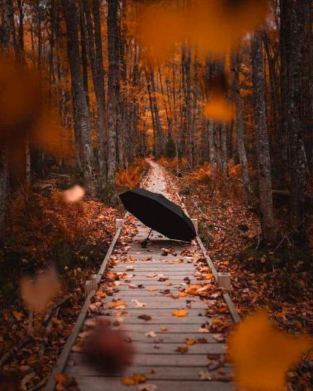 اللہ کرے تیری عمر میں اضافہ ہو ، تُو دیکھے مجھے بدلتا ہوا ۔۔۔" 💔✨
 ZaRRaaR💔🥀