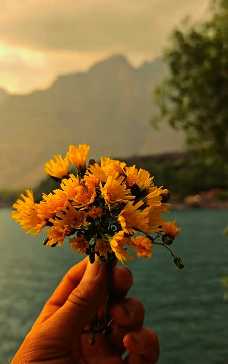 Beautiful Nature image