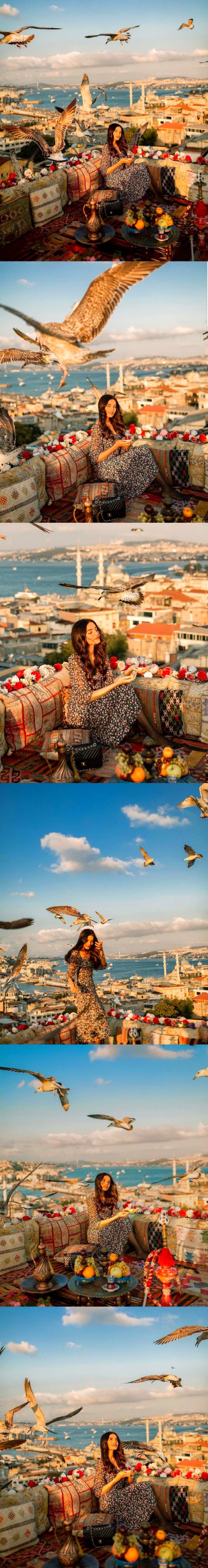 Pakistani Celebs image