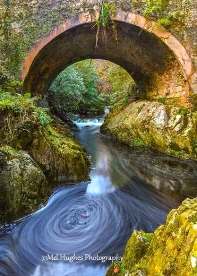 Beautiful Nature image