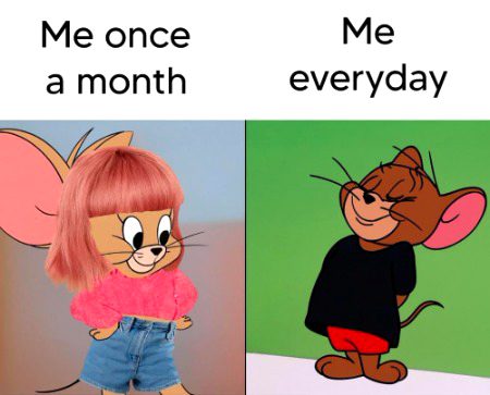 Memes & Satire image