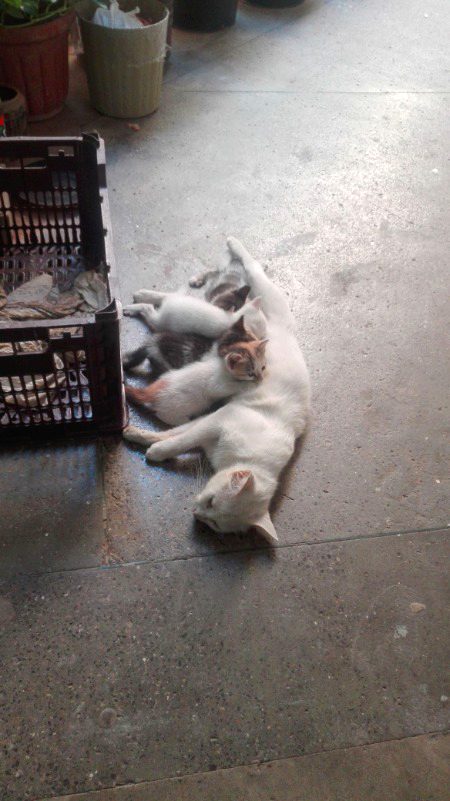 Beautiful Nature image