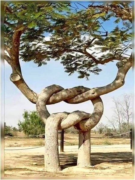 SubhanALLAH❤️❤️❤️