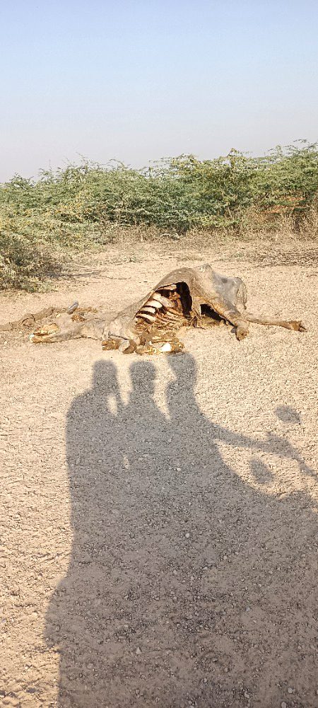 Decomposition