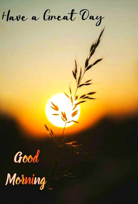 Beautiful Nature image