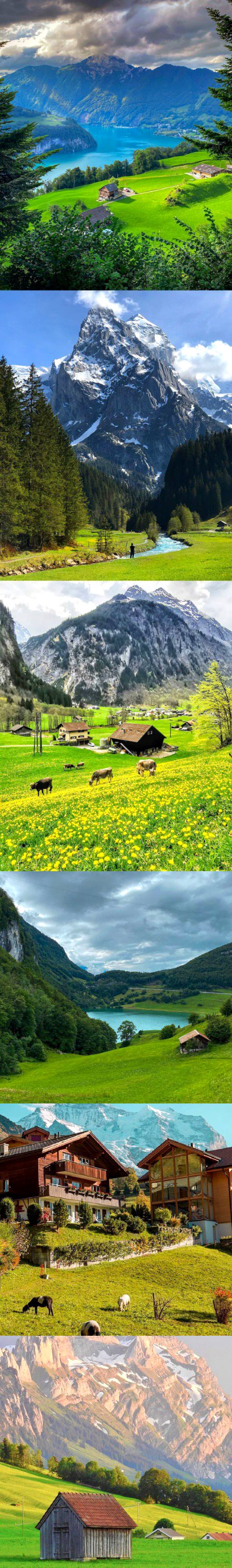Beautiful Nature image