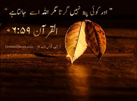 Al quran