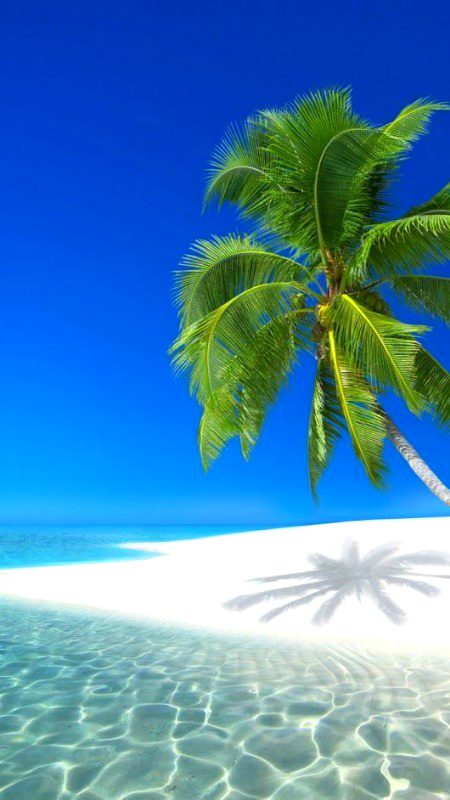 Beautiful Nature image