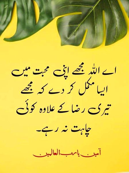 Islamic Quotes image